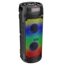 Ginzzu GM-219 {(V5.0), 50Вт, 150Гц- 18кГц, USB-flash, microSD-card, FM-радио, пульт ДУ,  батарея 3,6В/4500мАч, эквалайзер }