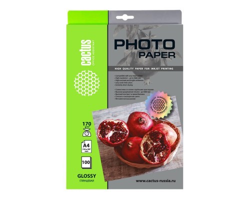 [расходные материалы] Фотобумага Cactus CS-GA4170100 A4/170г/м2/100л./белый глянцевое для струйной печати