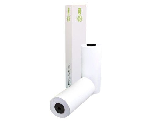 [расходные материалы] Бумага Cactus CS-LFP80-297457 12