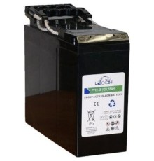 Leoch Батарея FT12-55 (12V 55Ah)