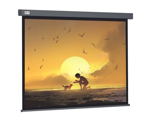 [Экраны Cactus] Экран Cactus Wallscreen CS-PSW-124X221-SG 124.5х221см 16:9 настенно-потолочный рулонный серый