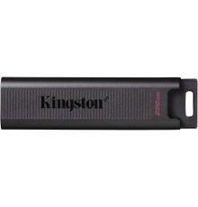 Kingston USB Drive 256Gb DataTraveler Type-C Max DTMAX/256GB USB3.2 черный