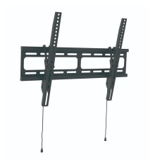 Wize [WT55]  для 32