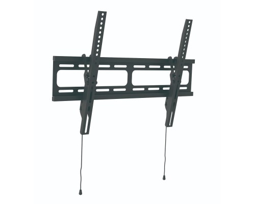 [Крепеж] Wize [WT55]  для 32