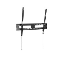 Wize [WT63] для 42