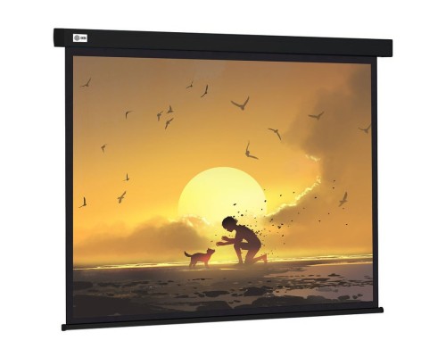 [Экраны Cactus] Экран Cactus Wallscreen CS-PSW-150X150-BK 150х150см 1:1 настенно-потолочный рулонный черный