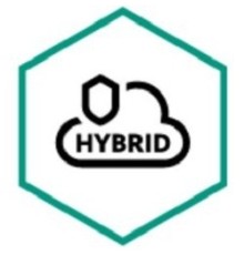 KL4255RASDR Kaspersky Security для виртуальных и облачных сред, Server Russian Edition. 150-249 VirtualServer 2 year Renewal License