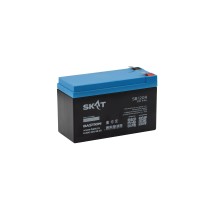 АКБ БАСТИОН SKAT SB 1209 AGM 12В 9Ач, I зар. 2,7А, F2, гарантия 18 мес (2540)