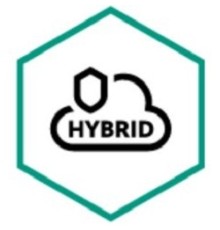 KL4555RAPFR Kaspersky Security для виртуальных и облачных сред, Core Russian Edition. 25-49 Core 1 year Renuwal License