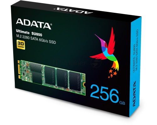 Накопитель SSD AData M.2 2280 256GB ADATA Ultimate SU800 Client SSD ASU800NS38-256GT-C SATA 6Gb/s, 560/520, IOPS 85/80K, MTBF 2M, 3D V-NAND TLC, 256MB, 200TBW, Retail