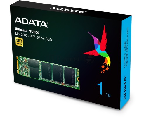 Накопитель SSD AData M.2 2280 1TB ADATA Ultimate SU800 Client SSD ASU800NS38-1TT-C SATA 6Gb/s, 560/520, IOPS 80/80K, MTBF 2M, 3D V-NAND TLC, 1024MB, 800TBW, Retail