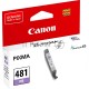 Картридж струйный Canon CLI-481 PB 2102C001 черный для Canon Pixma TS5140/6140/8140/8540