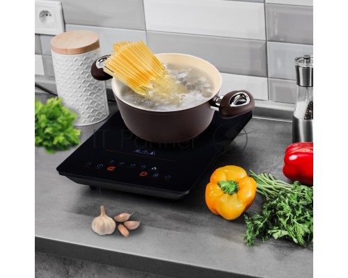 Индукционная плитка Endever Skyline IP-48