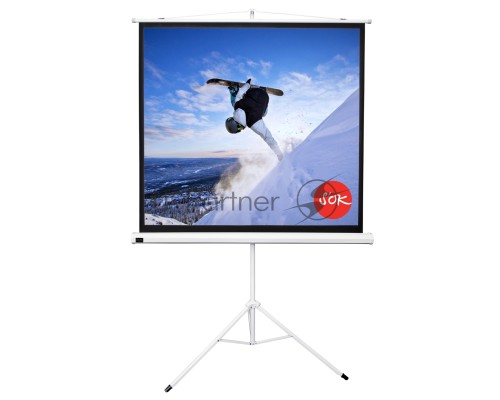 Экран 127x127см TriScreen 1:1 напольный рулонный белый  71'