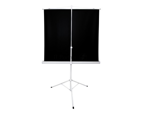 Экран 127x127см TriScreen 1:1 напольный рулонный белый  71'