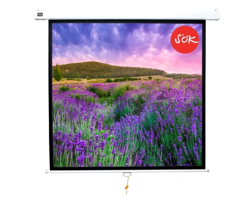 Экран 180x180см Wallscreen 1:1 настенно-потолочный рулонный белый  100'