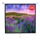 Экран 180x180см Wallscreen 1:1 настенно-потолочный рулонный белый  100'