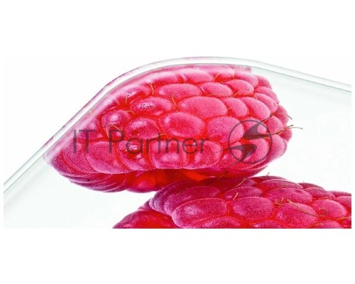 Кухонные весы Beurer KS19 berry макс.вес:5кг рисунок