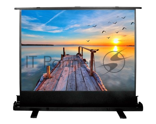 Экран Cactus 113x200см FloorExpert CS-PSFLE-200X113 16:9 напольный рулонный
