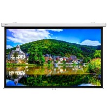 Настенный экран Lumien Master Picture CSR 196x244см (раб.область 146х234 см) (109