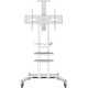 Стойка для телевизора с кронштейном ONKRON TS1881 50