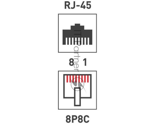 Розетка компьютерная 2-м ОП RJ45 CAT.5E бел. Rexant 03-0151
