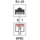 Розетка компьютерная 2-м ОП RJ45 CAT.5E бел. Rexant 03-0151