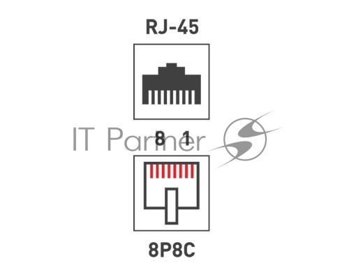 Розетка компьютерная 2-м ОП RJ45 CAT.5E бел. Rexant 03-0151