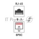 Розетка компьютерная 2-м ОП RJ45 CAT.5E бел. Rexant 03-0151