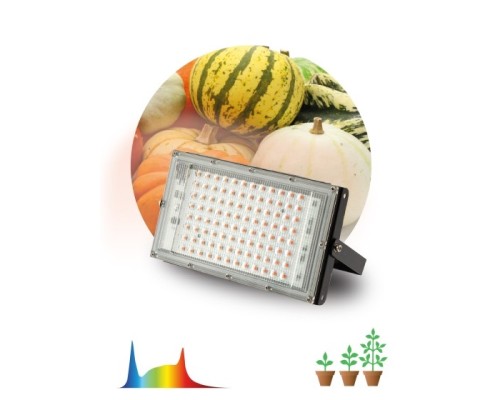 [ЭРА Светодиодные лампы] ЭРА Б0057284 Фитопрожектор для растений светодиодный FITO-80W-Ra90-LED-Y полного спектра