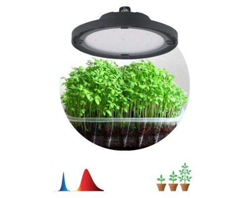 [ЭРА Светодиодные лампы] ЭРА Б0053280 Фитопрожектор для растений светодиодный  FITO-50W-RB-LED-UFO красно-синего спектра 50 Вт IP65